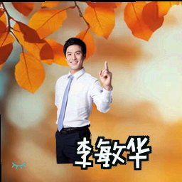 李敏华